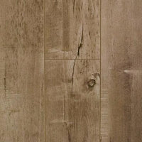 AZUL WATERS COLLECTION Sea Shell - 12mm Laminate Flooring by The Garrison Collection - Laminate by The Garrison Collection