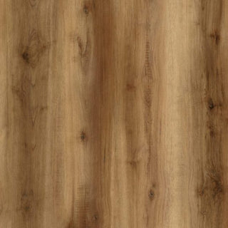 Pass-a-Grille image 1