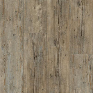 Worn Ash image 1