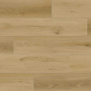 Sierra Nevada image 1