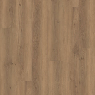 Spenser Oak