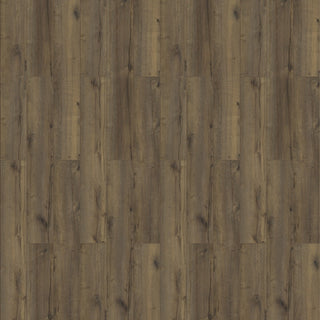 Western Oak