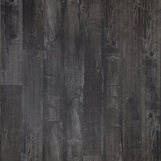 Cathedral Gray Plus