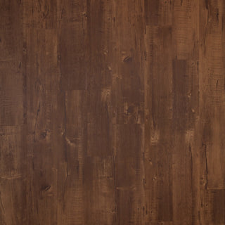 Chestnut Plus