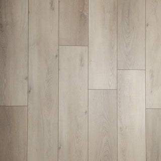 Merino Oak
