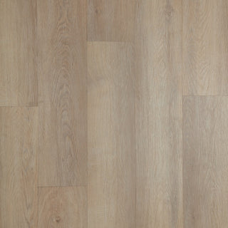 Sun Washed Oak