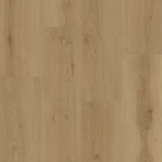 Macadamia