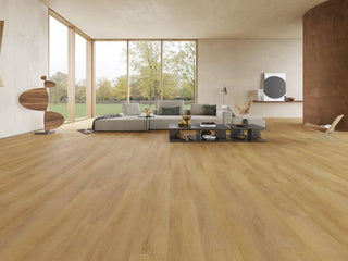 A895 Auckland Oak image 1