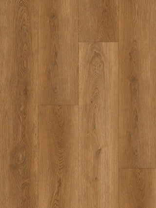 AL864 Petrus Oak image 2