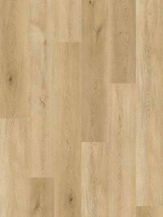AL862 Berne Oak image 2