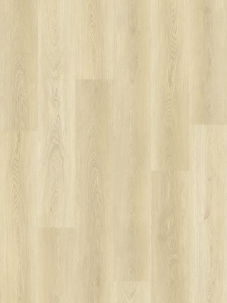 AL863 Cagliari Oak image 2