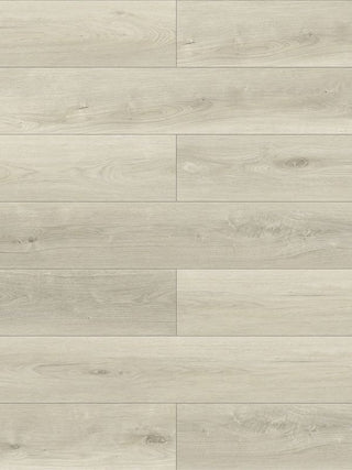 A884 Caesar Oak image 2