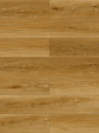 A881 Mario Oak image 2