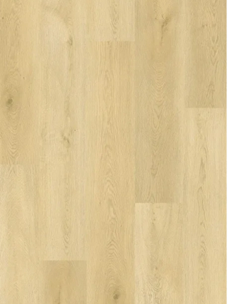 AL861 Alexander Oak image 2