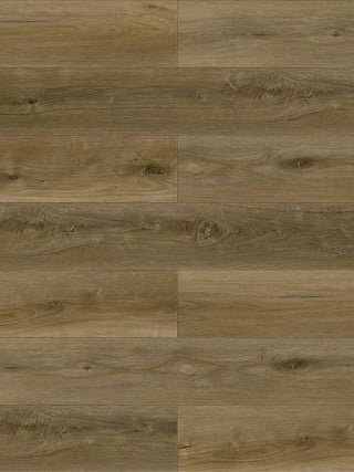 A882 Eiger Oak image 2