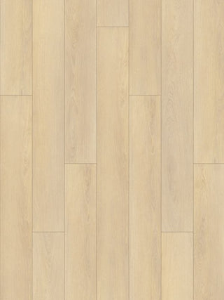 A894 Elevate Oak image 2