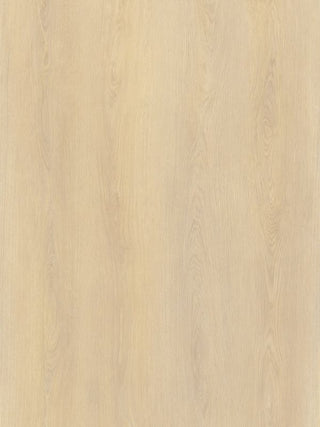 A894 Elevate Oak image 3