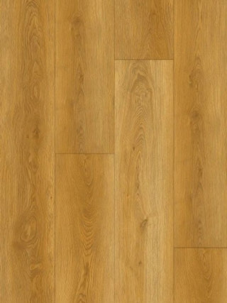 AL866 Hawaii Oak image 2