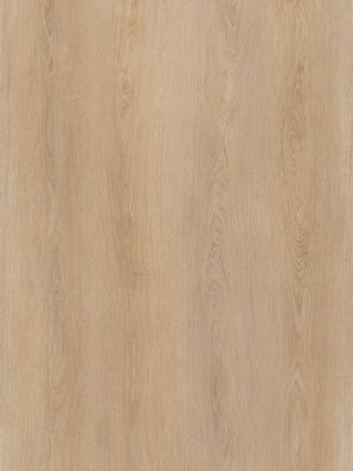 A893 Tranquil Oak image 3