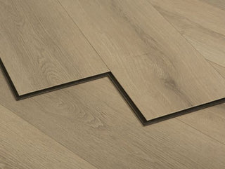 Olympia image 2