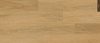 N979 Sequoia image 1