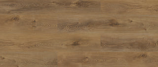 L113 Mile lacs image 1