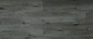 E630 Dijon image 1