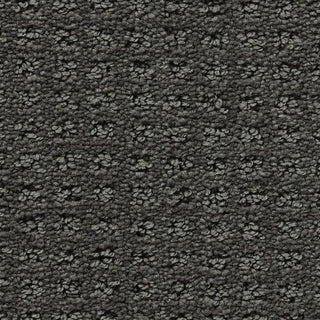 Healthy Touch - Concerto