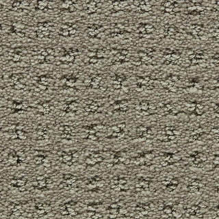 Healthy Touch - Concerto