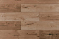 Almond Tempest 12mm Laminate Flooring by Tropical Flooring - Laminate by Tropical Flooring