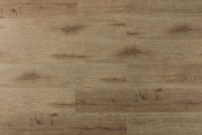 Basilica Champagne 12mm Laminate Flooring by Tropical Flooring - Laminate by Tropical Flooring