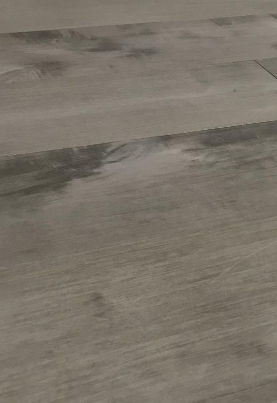 Canadian Maple Shell - Seaside Collection - Engineered Hardwood Flooring by Oasis
