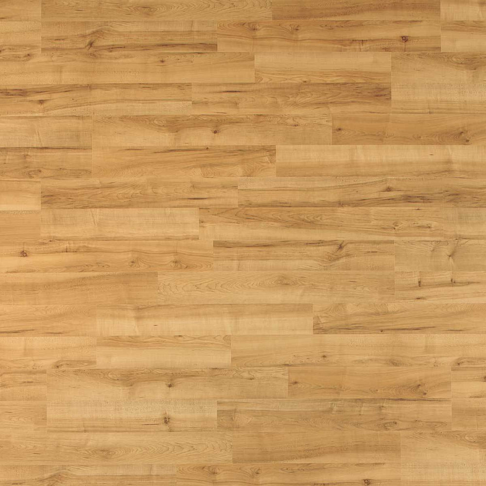 HOME COLLECTION Sweet Maple - 8mm Laminate Flooring by Quick-Step, Laminate, Quick Step - The Flooring Factory