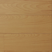 Ancient Beech - Classic Collection - 12mm Laminate Flooring by Republic - Laminate by Republic Flooring