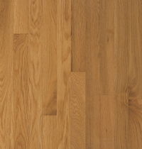 Cornsilk Oak 2 1/4" - Waltham Collection - Solid Hardwood Flooring by Bruce