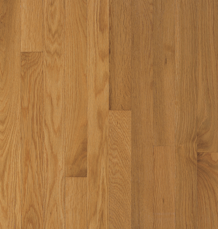 Cornsilk Oak 2 1/4